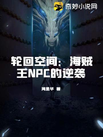 轮回空间:海贼王NPC的逆袭